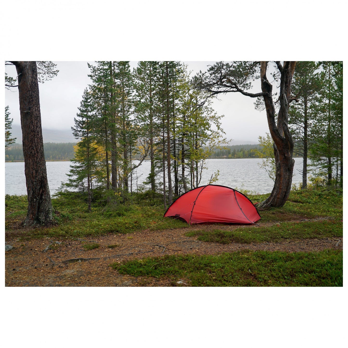 Hilleberg Rogen - 2-Personen Zelt