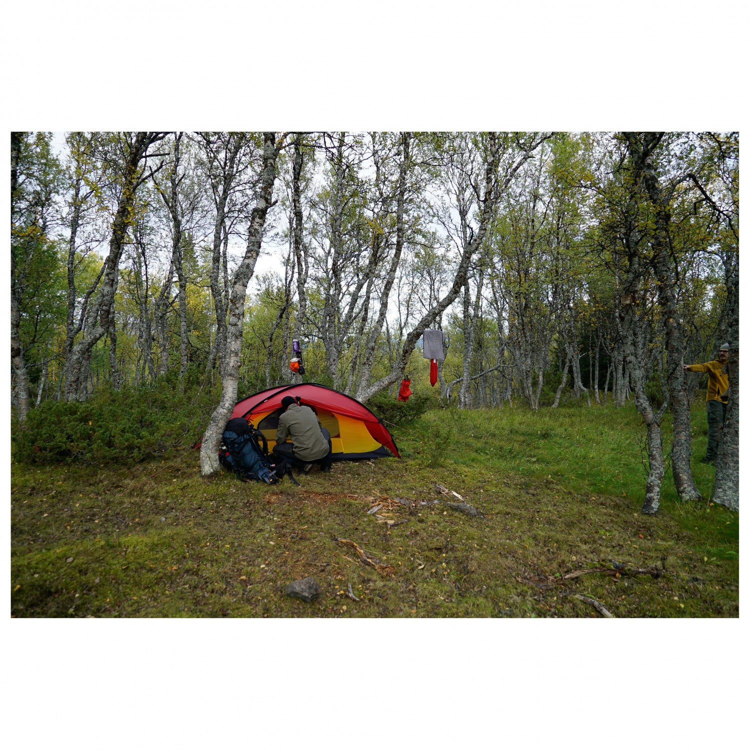 Hilleberg Rogen - 2-Personen Zelt