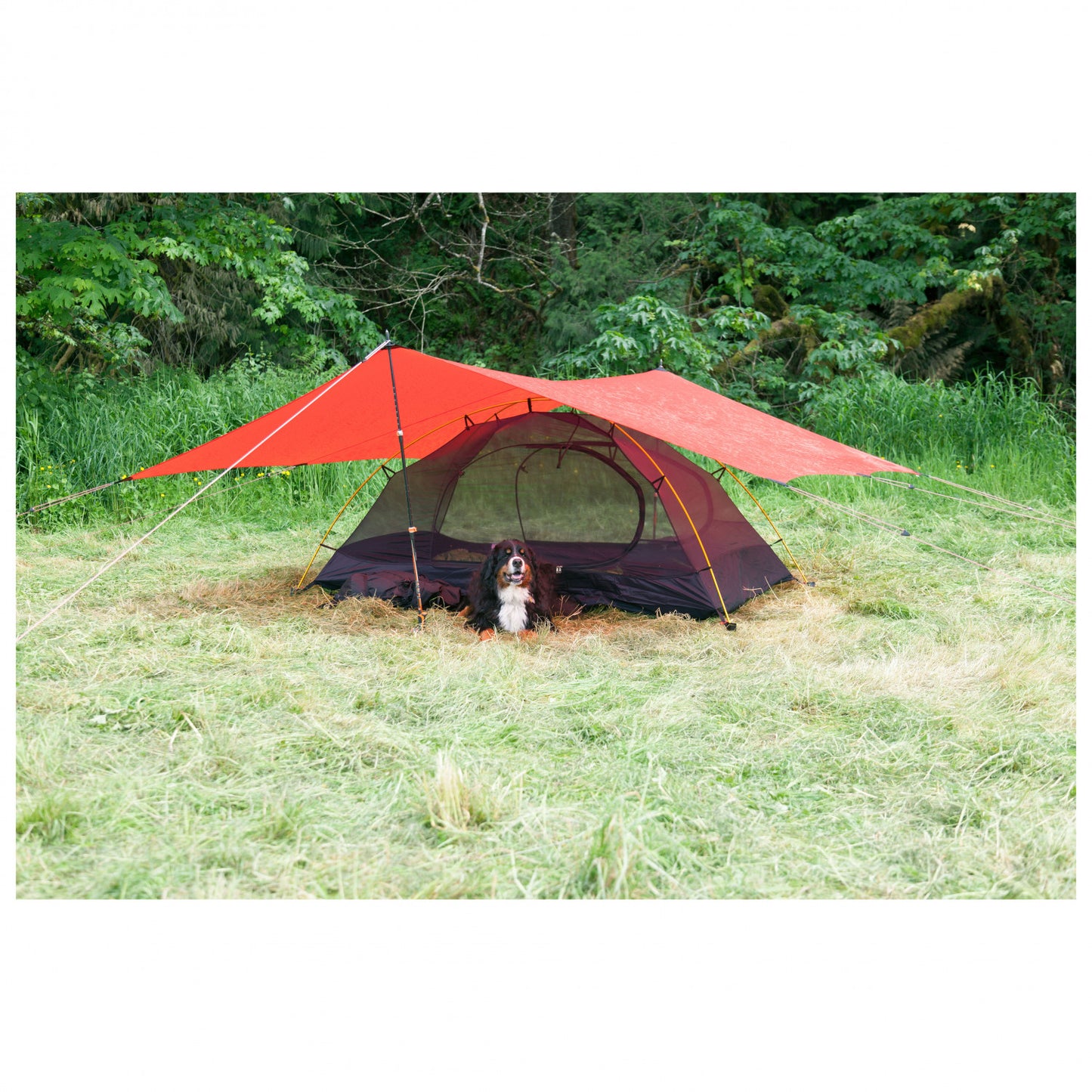 Hilleberg Rogen - 2-Personen Zelt