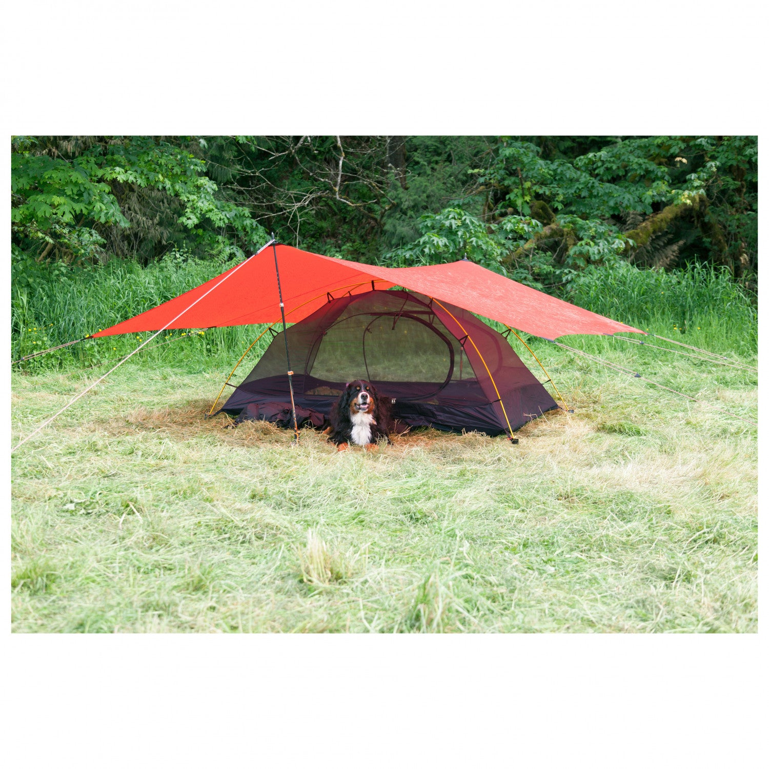 Hilleberg Rogen - 2-Personen Zelt